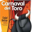 Carnaval del Toro & Salamanca Trip